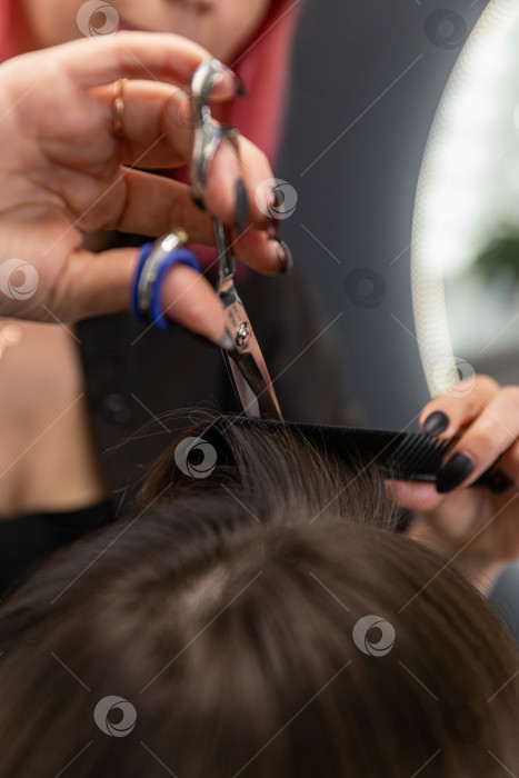 Скачать Стрижка волос фотосток Ozero