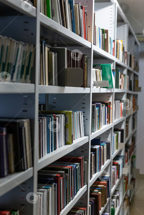 Скачать Книжная полка фотосток Ozero