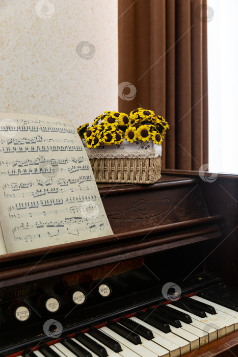 Скачать Пианино с нотами и цветами фотосток Ozero