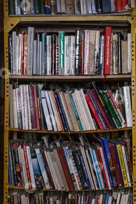 Скачать Книжная полка фотосток Ozero