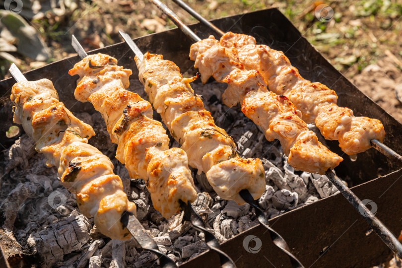 Скачать Шашлык на мангале фотосток Ozero