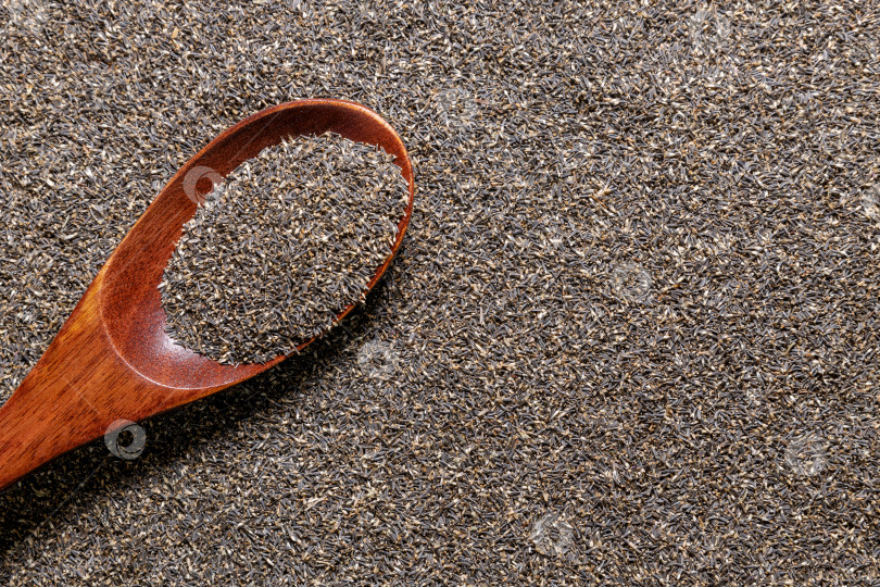 Скачать Семена цветов агератума на заднем плане. фотосток Ozero