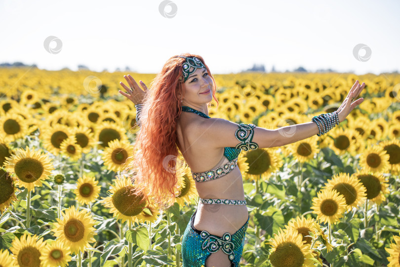 Скачать Рыжеволосая восточная танцовщица позирует на поле подсолнухов. фотосток Ozero