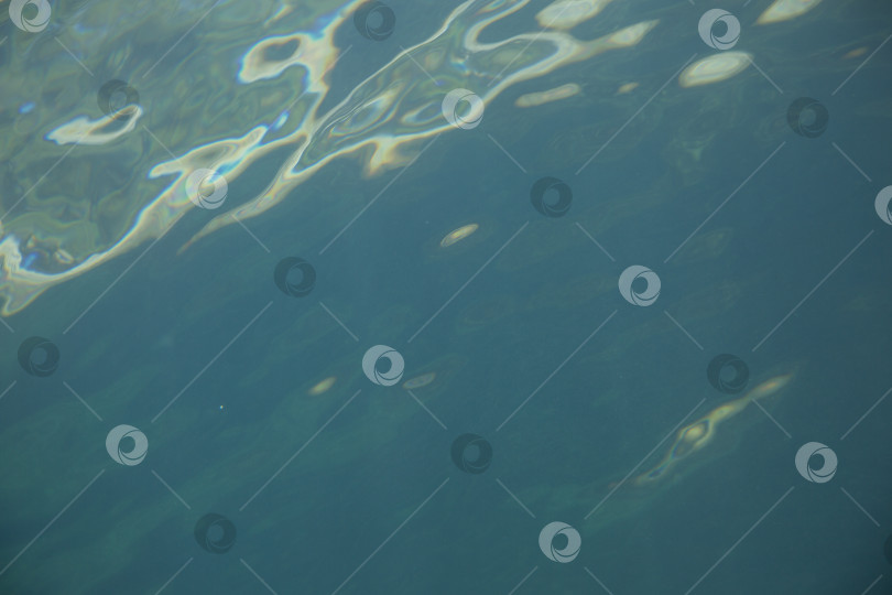 Скачать под водой фотосток Ozero