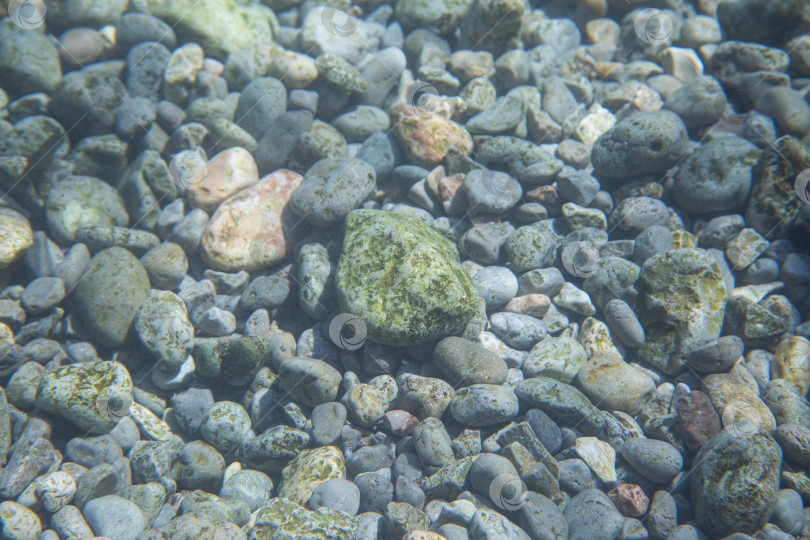 Скачать камни на морском дне растения фотосток Ozero