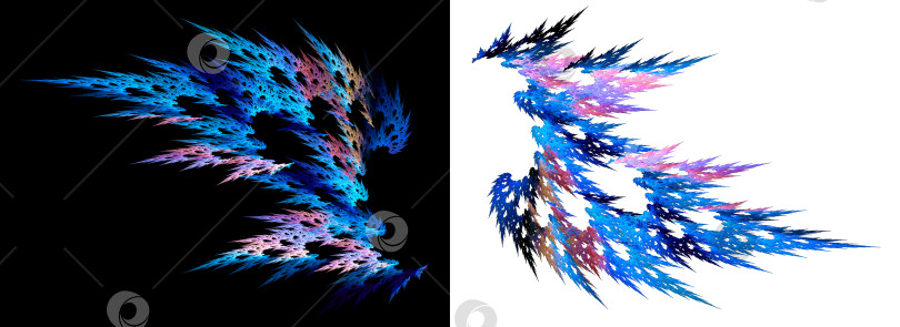 Скачать Красиво застывший колючий абстрактный иней создал два изящных абстрактных ажурных крыла на белом и черном фоне. Набор элементов графического дизайна. 3D-рендеринг. 3D-иллюстрация. фотосток Ozero