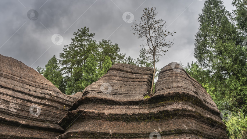 Скачать Необычные красно-коричневые скалы. Волнистые, причудливой формы. фотосток Ozero