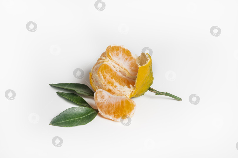 Скачать Дольки мандарина в форме груши с кожурой на белом фоне. Апельсиновая крошка фотосток Ozero
