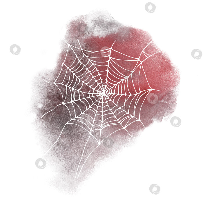 Скачать Белая паутина на фоне серо-красного акварельного пятна. фотосток Ozero
