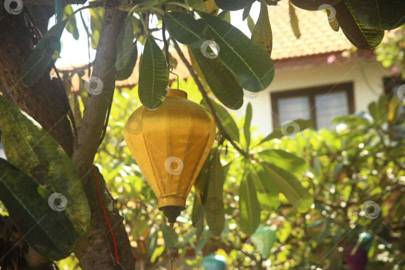 Скачать Фонарь на фоне растений в экзотической стране фотосток Ozero