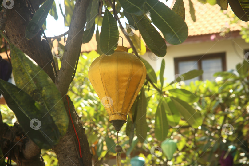 Скачать Фонарь на фоне пальмы и других растений фотосток Ozero