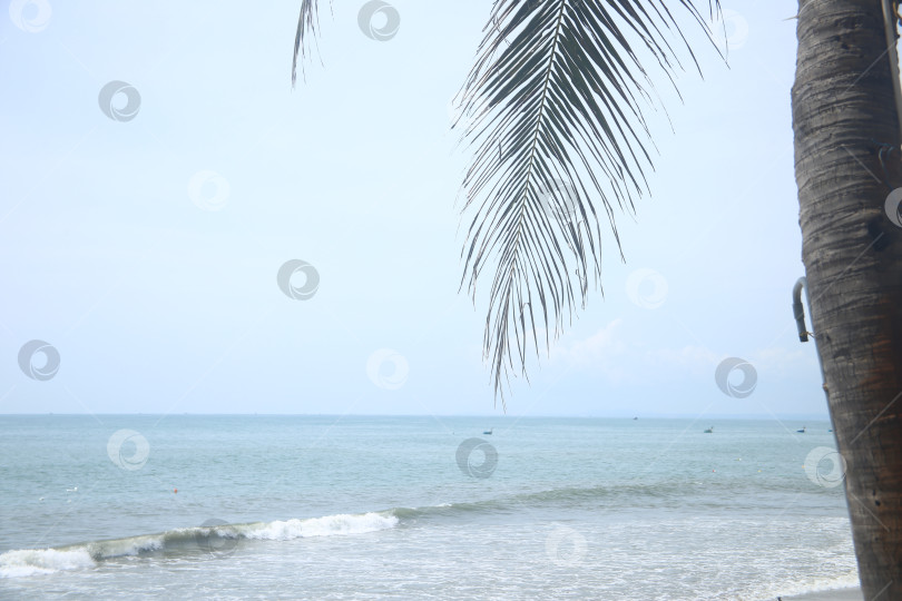 Скачать Пейзаж с морем фотосток Ozero