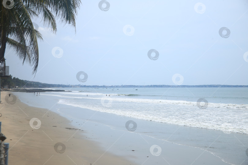 Скачать Пейзаж с морским пляжем, песком и пальмами фотосток Ozero