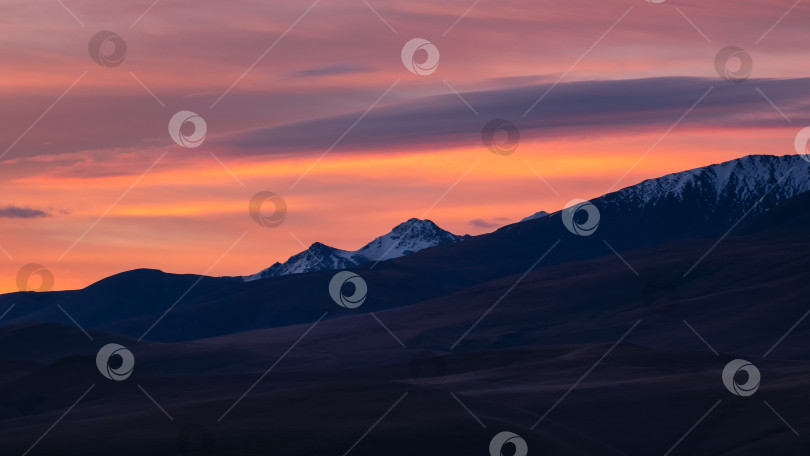 Скачать Контрастирующие горы на закате. Пурпурный закат над величественными горами. Закат в пурпурных тонах. Атмосферный фиолетовый пейзаж с высокогорной заснеженной горной долиной. фотосток Ozero