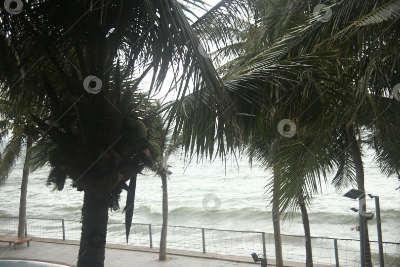 Скачать Пейзаж с морским пляжем, песком и пальмами фотосток Ozero