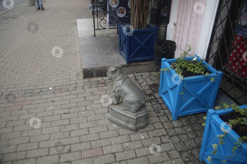 Скачать Вид на центровую улицу и скульптуру собаки в городе Владимир фотосток Ozero
