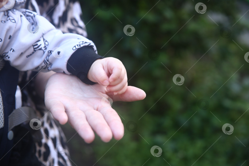 Скачать Женская рука и ручка ребёнка фотосток Ozero