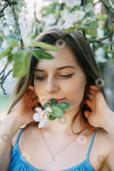 Скачать Красивая молодая девушка в голубом платье в цветущем яблоневом саду. Цветущие яблони с белыми цветами. фотосток Ozero