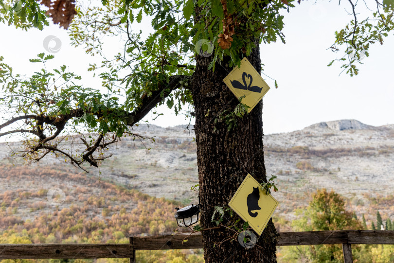 Скачать Знаки с изображением животных показывают тропы на зооферме, желтые баннеры на фоне леса фотосток Ozero