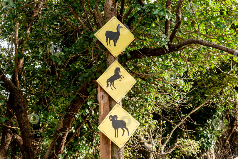 Скачать Знаки с изображением животных показывают тропы на зооферме, желтые баннеры на фоне леса фотосток Ozero