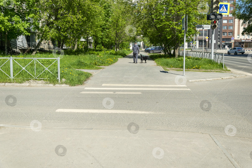 Скачать Человек с собакой фотосток Ozero