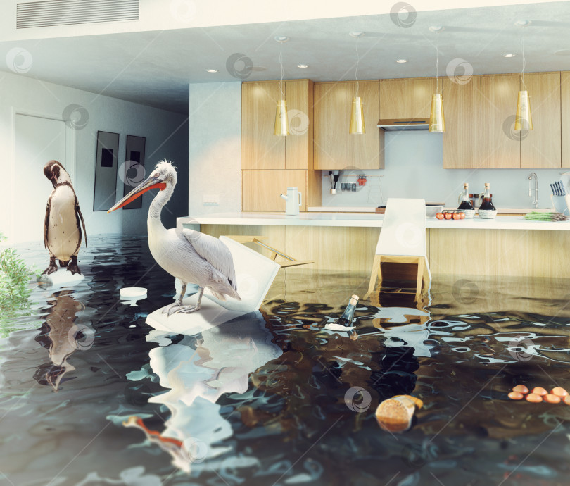 Скачать птицы на затопленной кухне фотосток Ozero