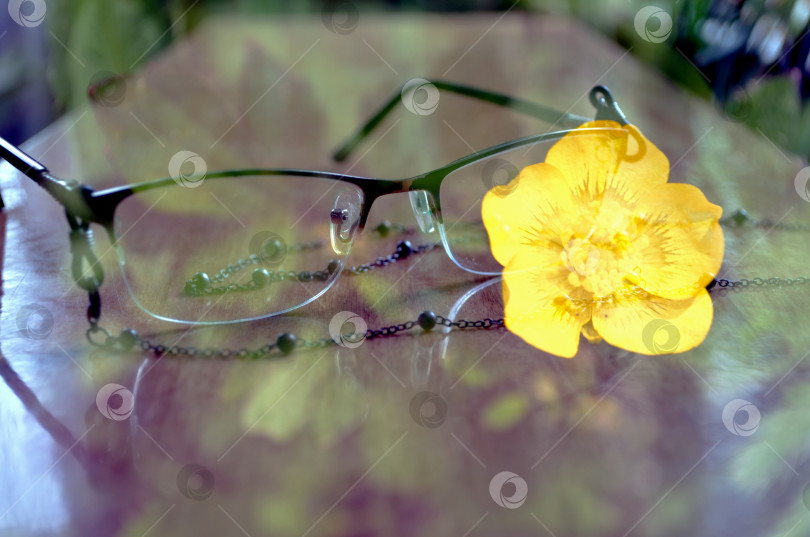 Скачать Коллаж очки и желтый цветок фотосток Ozero