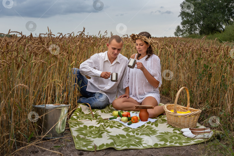 Скачать пикник на пшеничном поле фотосток Ozero