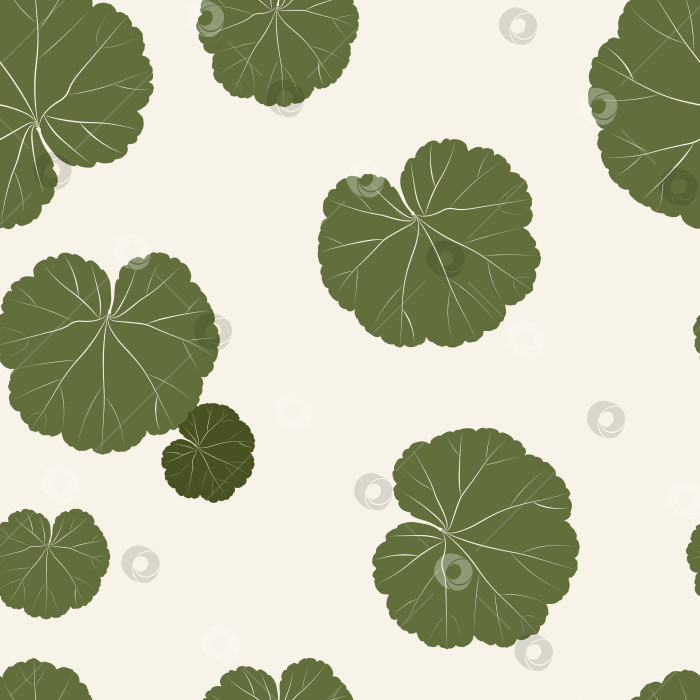 Скачать Векторный бесшовный узор из темно-зеленых листьев герани на бежевом фоне фотосток Ozero