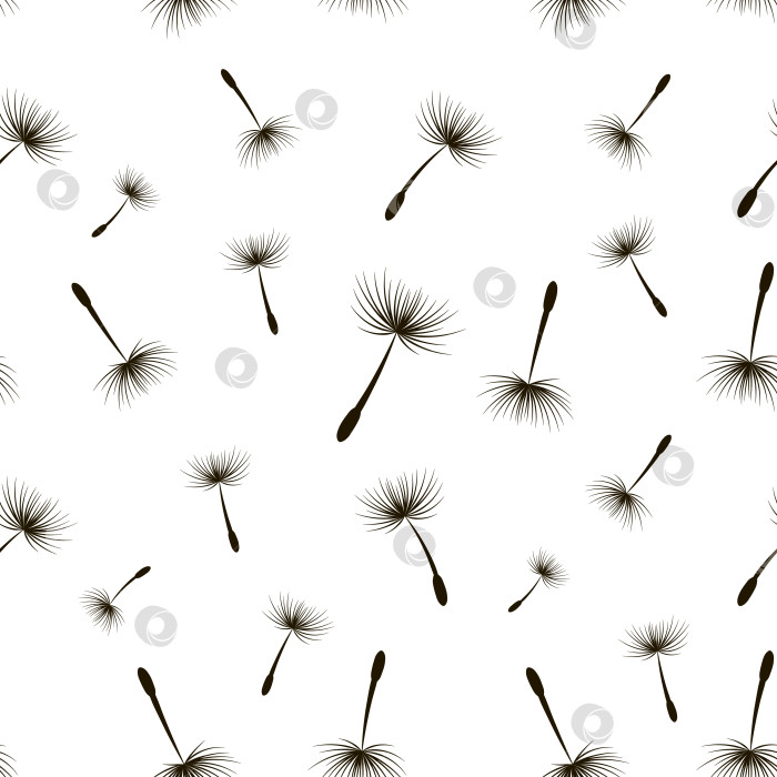 Скачать Черно-белые семена одуванчика с бесшовным векторным рисунком, роскошная органическая текстура фотосток Ozero