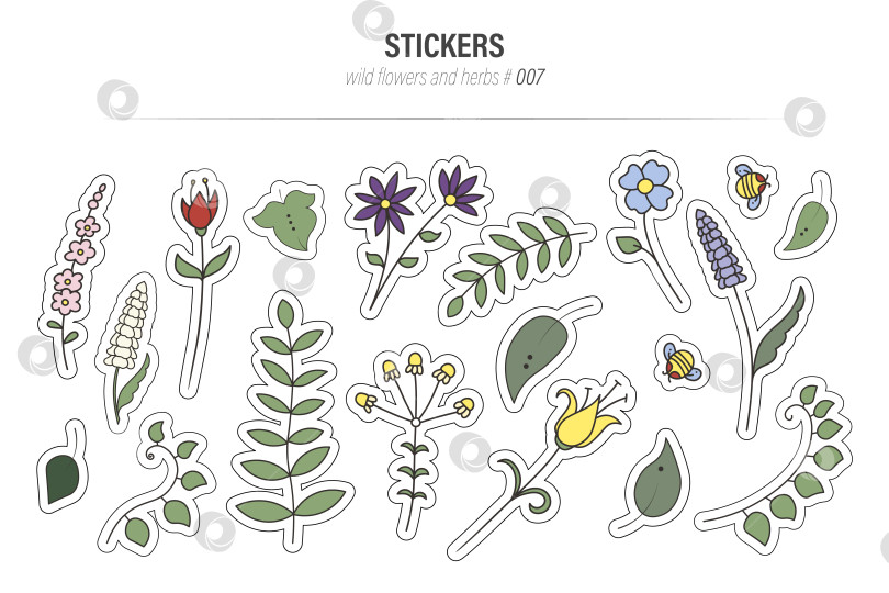 Скачать Набор векторных иллюстраций для наклеек с дикими цветами и травами фотосток Ozero