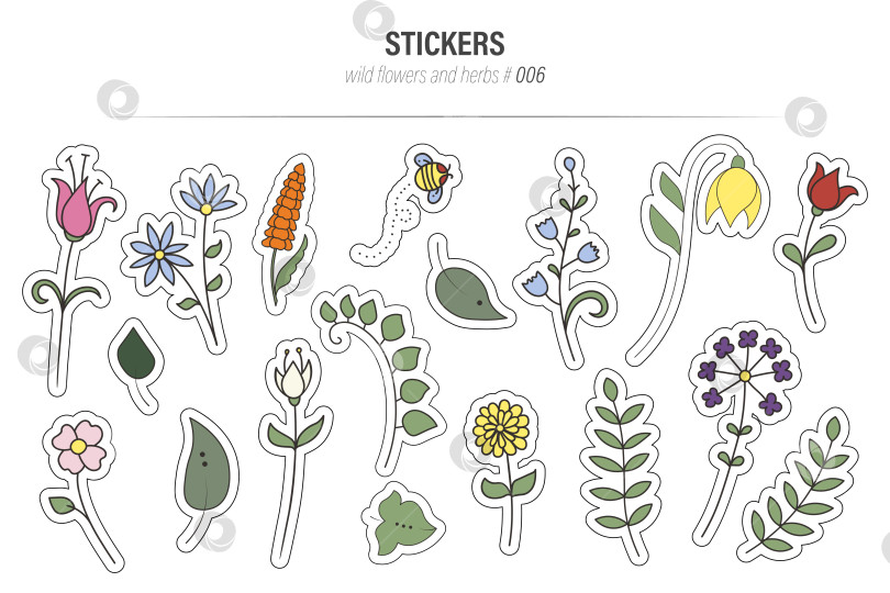 Скачать Набор векторных иллюстраций для наклеек с дикими цветами и травами фотосток Ozero