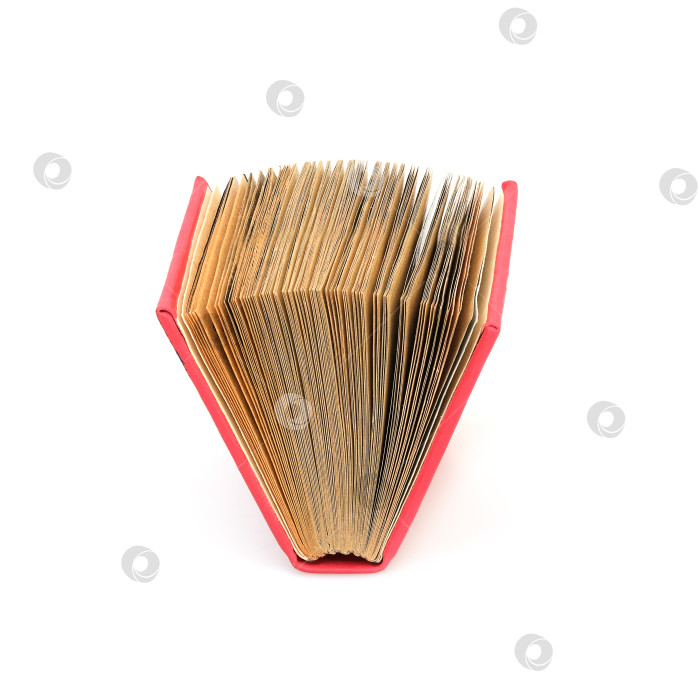 Скачать Книга в красной обложке с белыми листами, выделенными на белом фоне фотосток Ozero