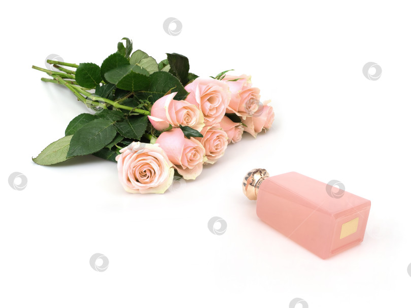 Скачать Композиция из нежно-розовых роз и флакона духов в тон на белом фоне, готовая к печати. Чрезвычайно высокое разрешение фотосток Ozero