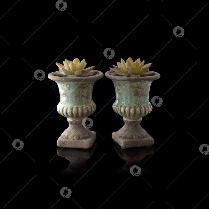 Скачать Декоративные вазы для украшения сада, выделенные на черном фоне сочным фотосток Ozero