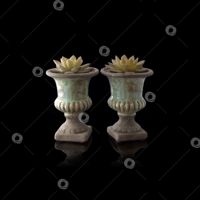 Скачать Декоративные вазы для украшения сада, выделенные на черном фоне сочным фотосток Ozero