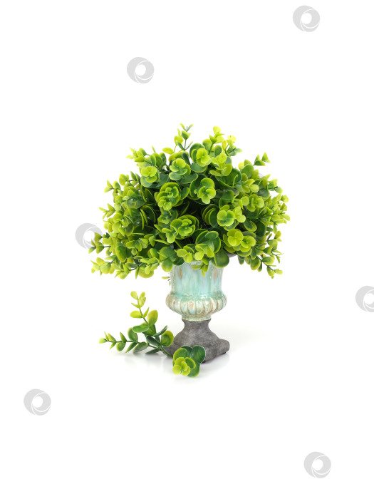 Скачать Декоративная бирюзовая ваза с пышной искусственной зеленью на белом фоне, готовый вырез фотосток Ozero