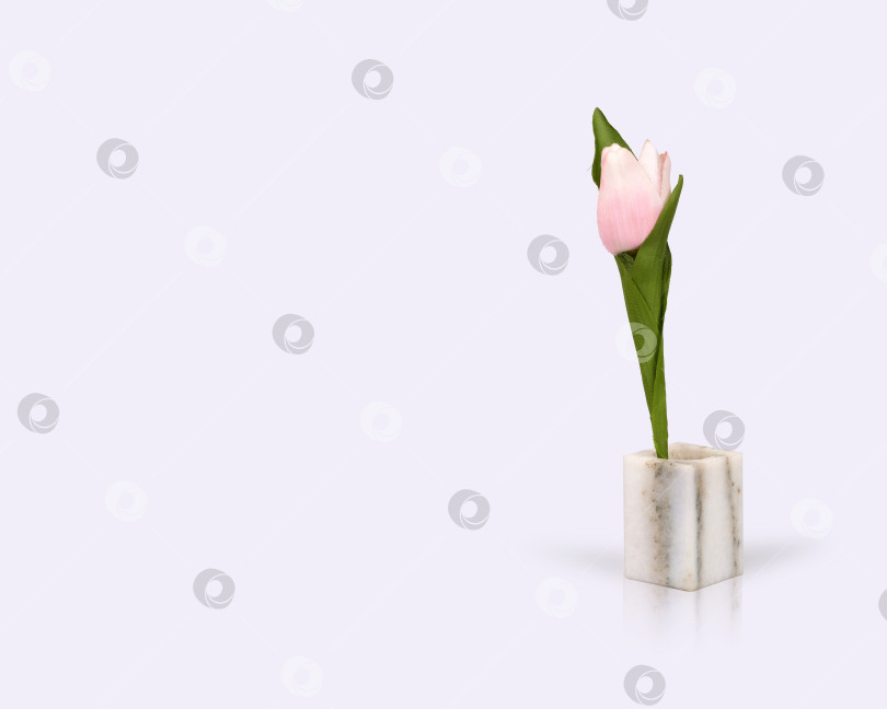 Скачать Розовый цветок в мраморной вазе, выделяющийся на белом фоне фотосток Ozero