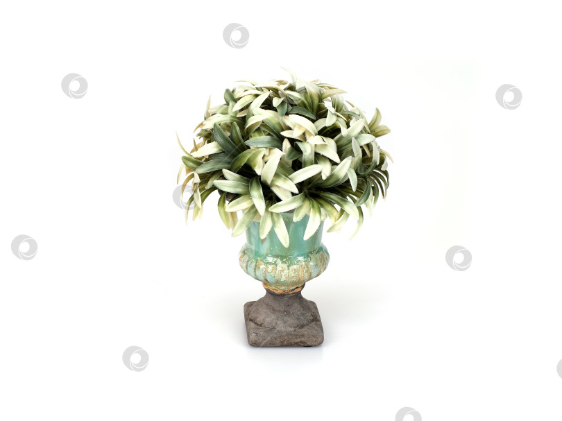 Скачать Декоративная бирюзовая ваза с пышной искусственной зеленью на белом фоне, готовый вырез фотосток Ozero