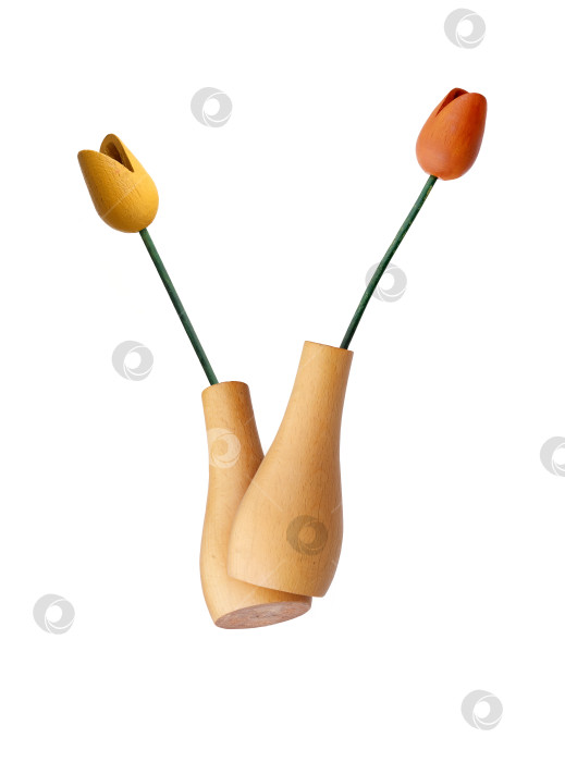 Скачать Сувенирный деревянный букет тюльпанов из Голландии, выделенный на белом фоне фотосток Ozero