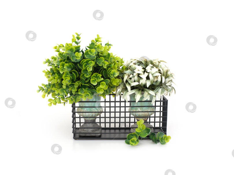 Скачать Искусственные растения в винтажных вазах с черной металлической подставкой, минималистичный декор интерьера на белом фоне фотосток Ozero