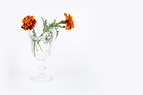 [object Object] undefined