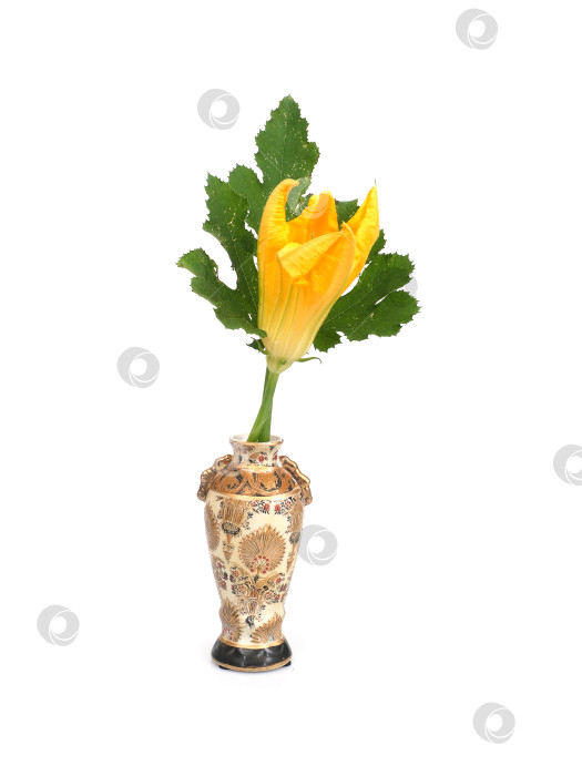 Скачать Желтый цветок тыквы в традиционной китайской вазе, выделенный на белом фоне, готов к вырезанию фотосток Ozero