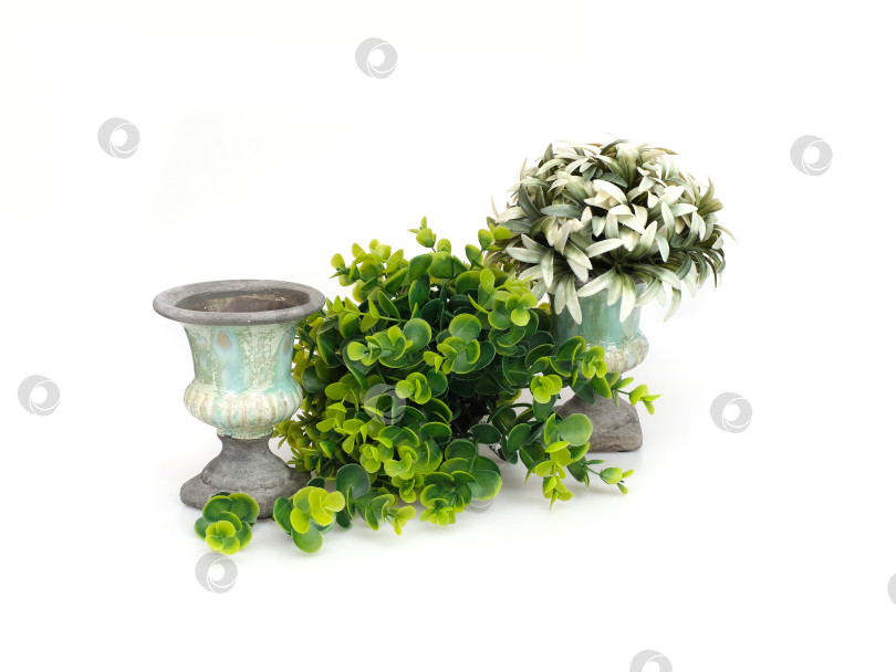 Скачать Две декоративные бирюзовые вазы с пышной искусственной зеленью, выделяющиеся на белом фоне, готовы к вырезанию фотосток Ozero