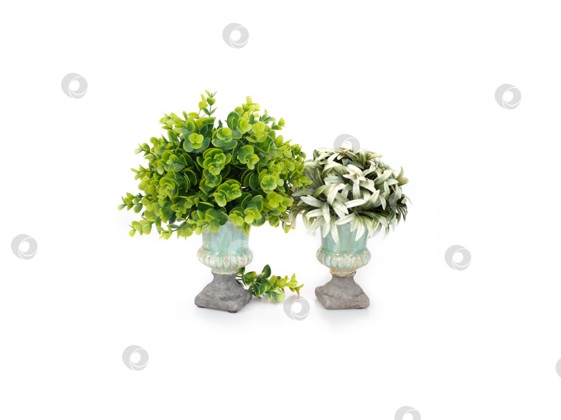 Скачать Две декоративные бирюзовые вазы с пышной искусственной зеленью, выделяющиеся на белом фоне, готовы к вырезанию фотосток Ozero