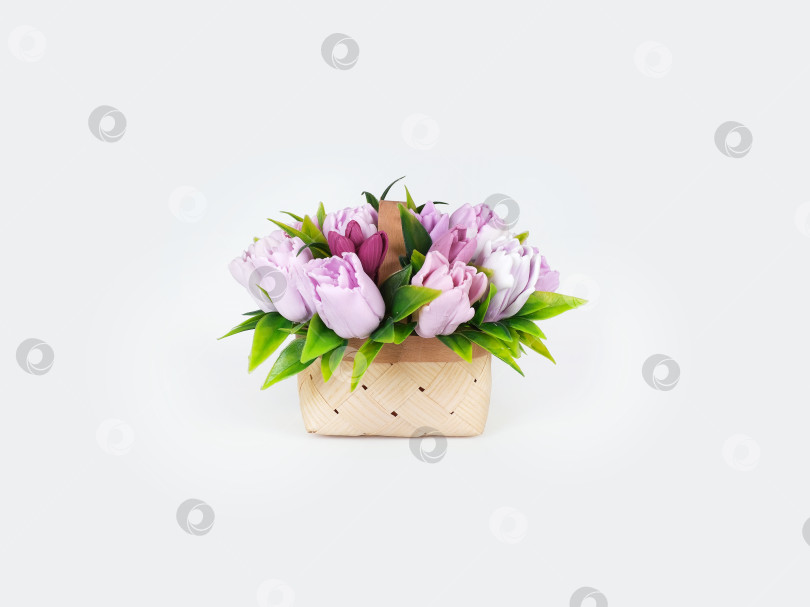 Скачать Шаблон поздравительной открытки. Корзина с тюльпанами на белом фоне фотосток Ozero
