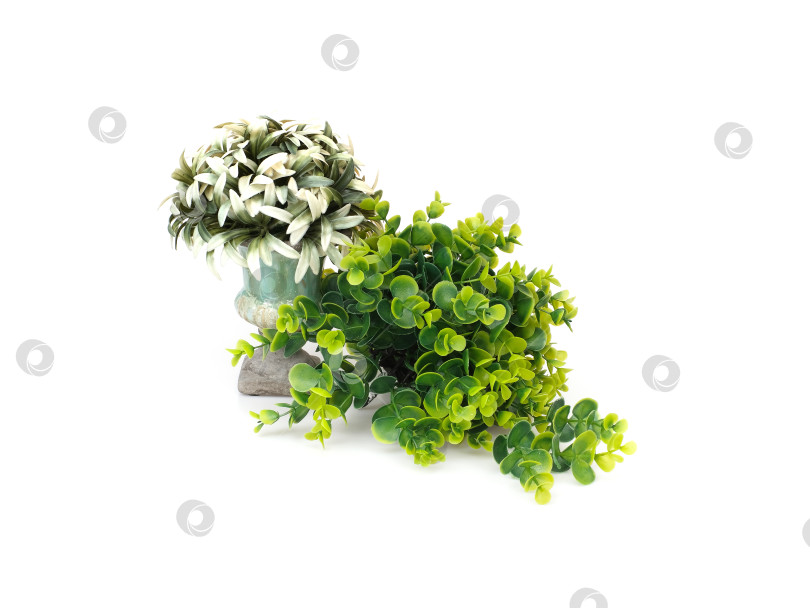 Скачать Декоративная бирюзовая ваза с пышной искусственной зеленью на белом фоне, готовый вырез фотосток Ozero