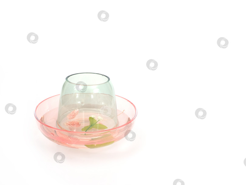 Скачать Элегантная стеклянная ваза для цветов, выделяющаяся на белом фоне фотосток Ozero