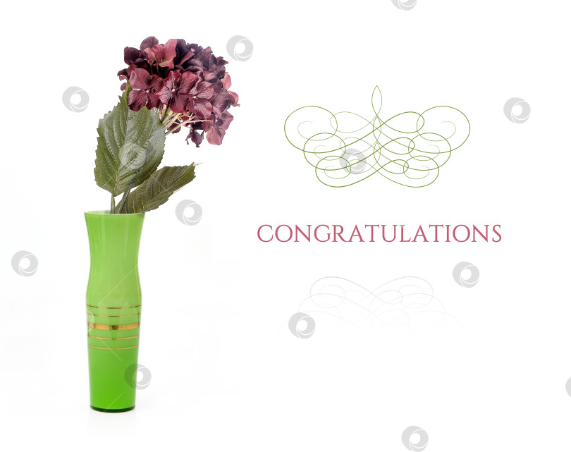 Скачать Шаблон поздравительной открытки с цветком в зеленой вазе, изолированным на белом фоне фотосток Ozero