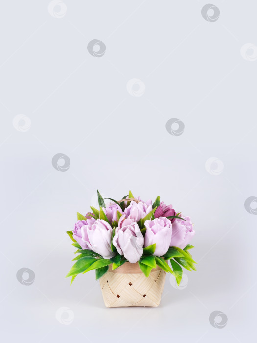 Скачать Шаблон поздравительной открытки. Корзина с тюльпанами на белом фоне фотосток Ozero